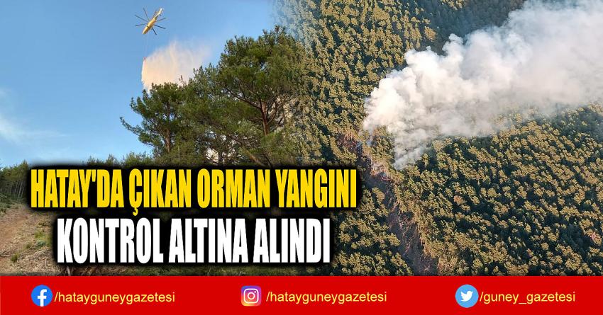 HATAY'DA ÇIKAN ORMAN YANGINI  KONTROL ALTINA ALINDI